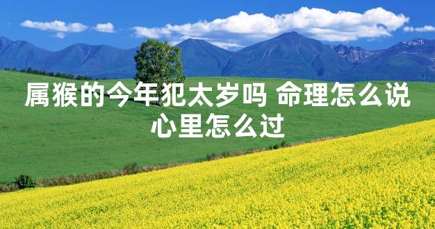 属猴的今年犯太岁吗 命理怎么说心里怎么过